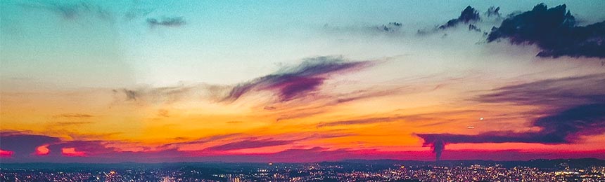 博白茶虫网_博白品茶